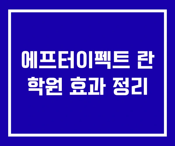 에프터이펙트 란 학원 효과 정리
