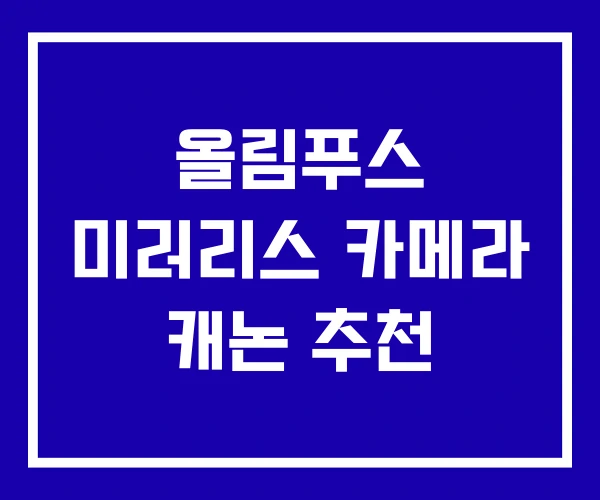 올림푸스 미러리스 카메라 캐논 추천