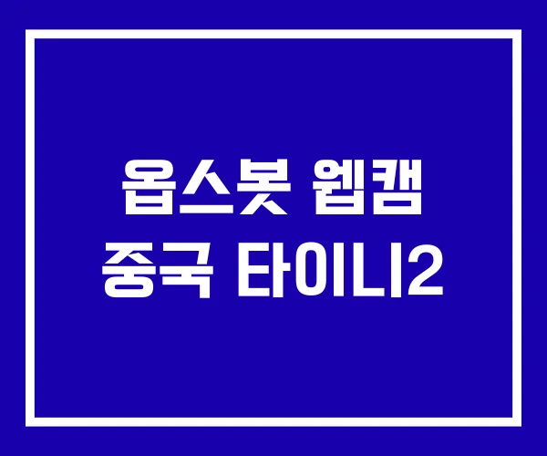 옵스봇 웹캠 중국 타이니2