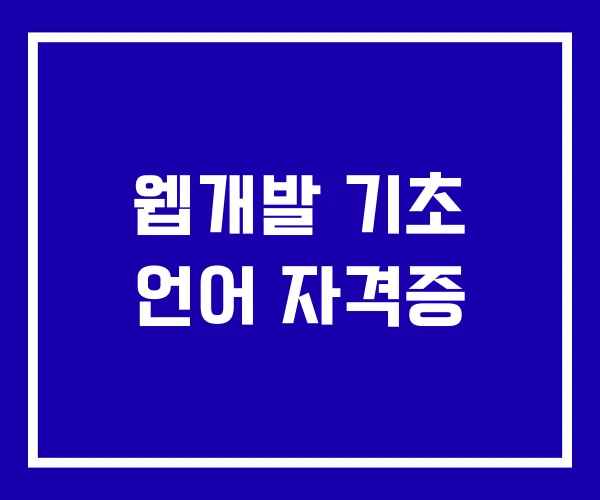 웹개발 기초 언어 자격증 웹개발 기초 언어 자격증