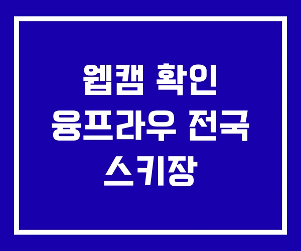 웹캠 확인 융프라우 전국 스키장