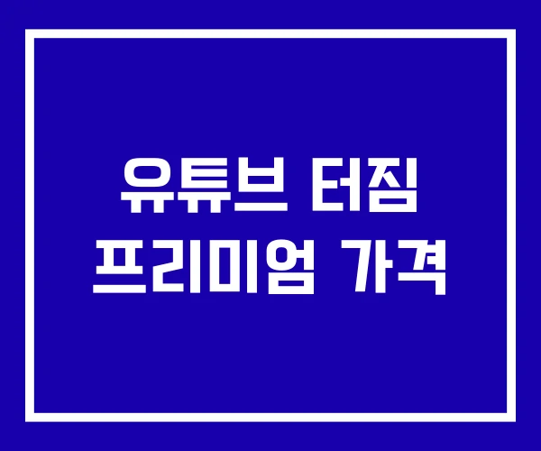유튜브 터짐 프리미엄 가격