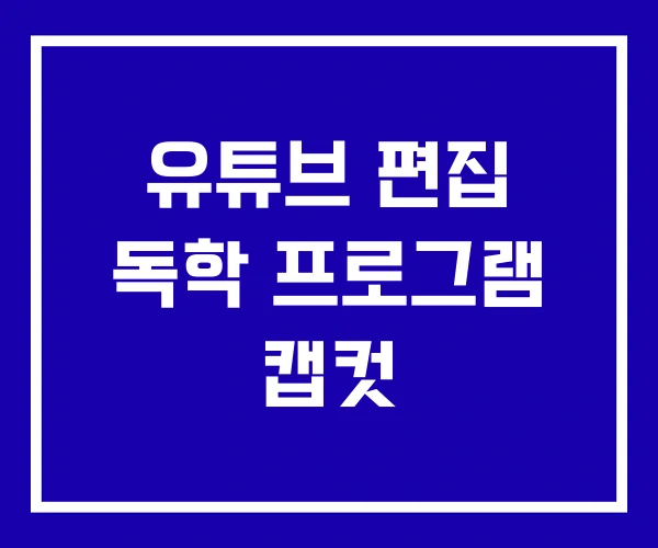 유튜브 편집 독학 프로그램 캡컷 유튜브 편집 독학 프로그램 캡컷