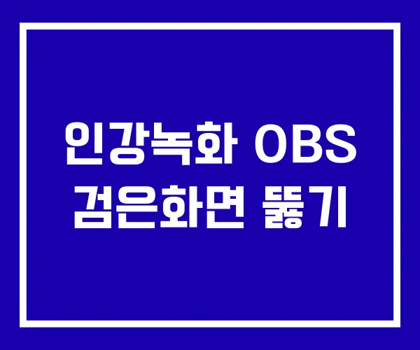 인강녹화 OBS 검은화면 뚫기