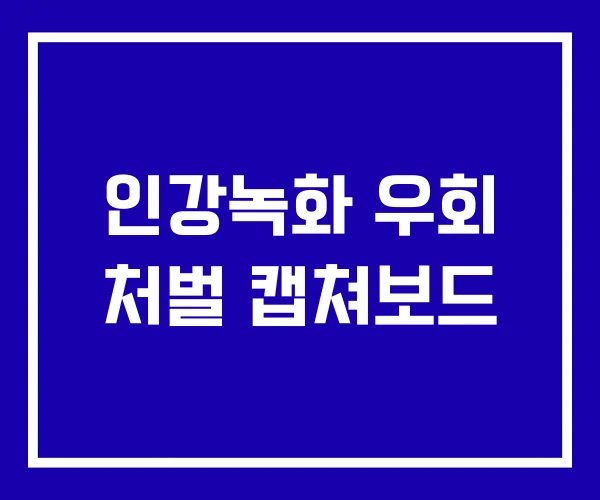 인강녹화 우회 처벌 캡쳐보드