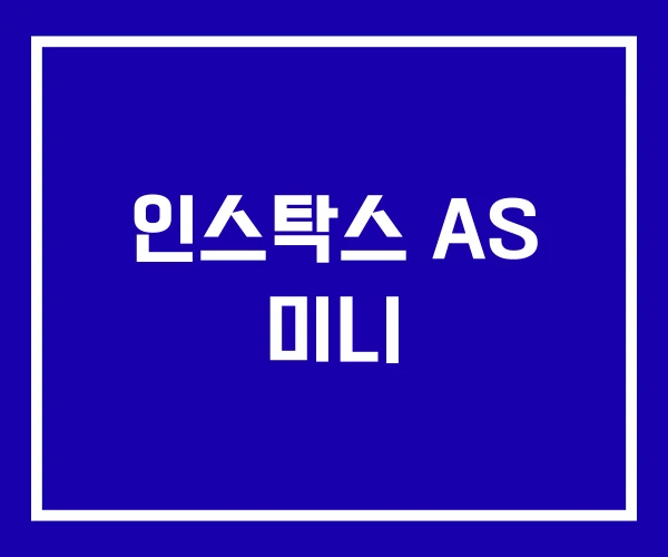 인스탁스 AS 미니 인스탁스 AS 미니