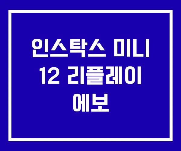 인스탁스 미니 12 리플레이 에보
