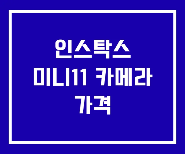 인스탁스 미니11 카메라 가격