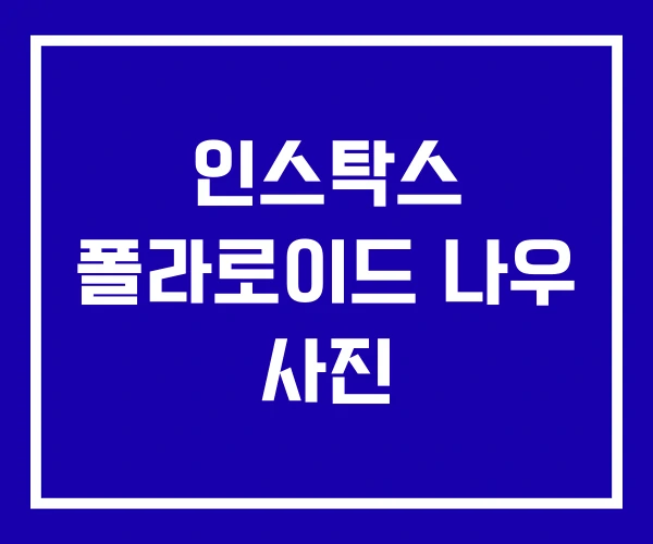 인스탁스 폴라로이드 나우 사진