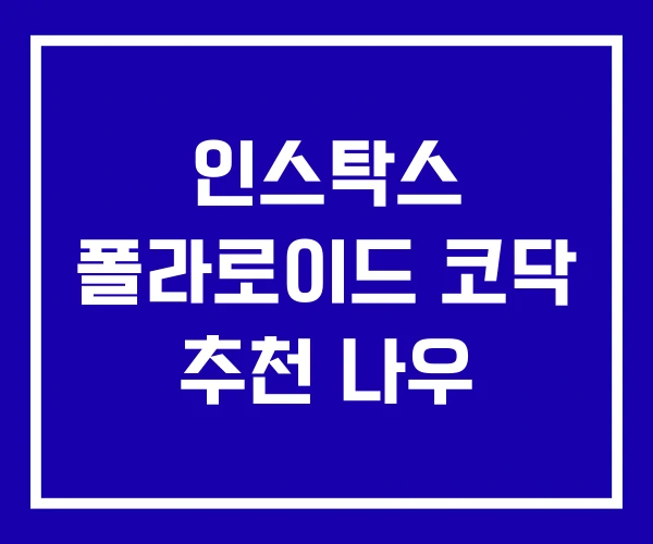 인스탁스 폴라로이드 코닥 추천 나우