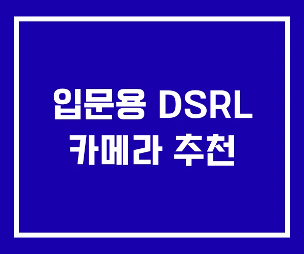 입문용 DSRL 카메라 추천