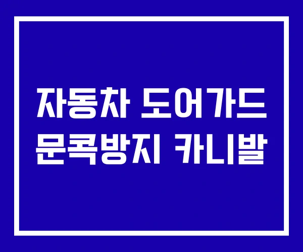 자동차 도어가드 문콕방지 카니발