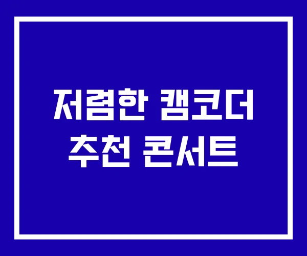 저렴한 캠코더 추천 콘서트