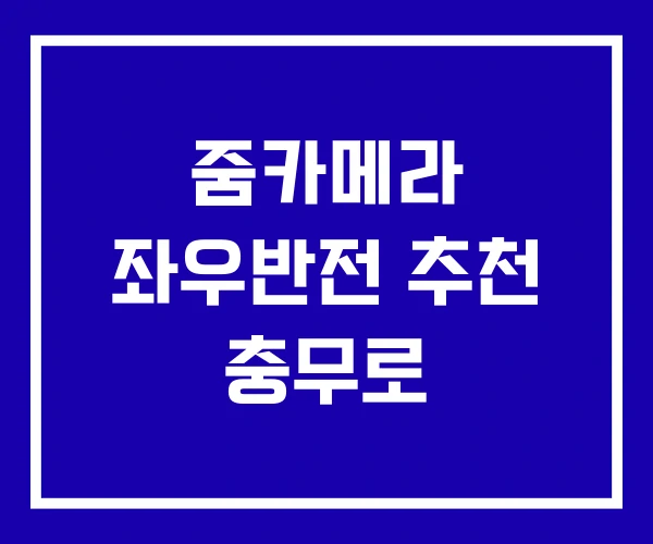 줌카메라 좌우반전 추천 충무로