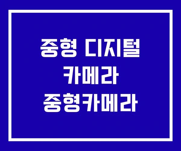 중형 디지털 카메라 중형카메라