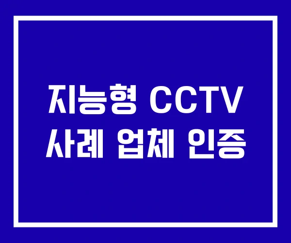 지능형 CCTV 사례 업체 인증