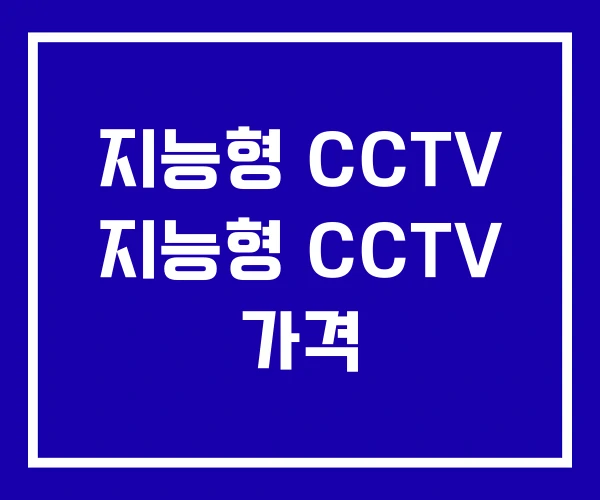 지능형 CCTV 지능형 CCTV 가격