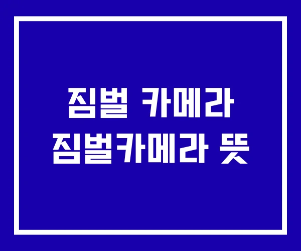 짐벌 카메라 짐벌카메라 뜻 짐벌 카메라 짐벌카메라 뜻