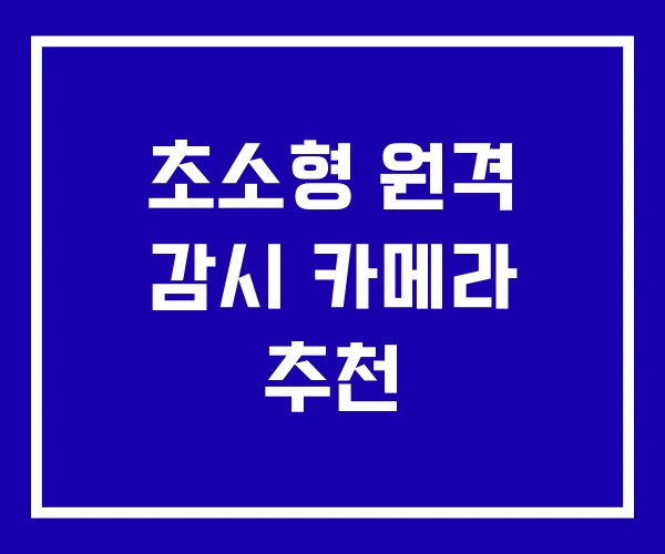 초소형 원격 감시 카메라 추천