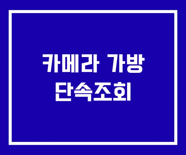 카메라 가방 단속조회