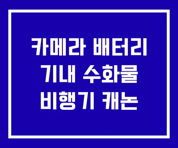 카메라 배터리 기내 수화물 비행기 캐논