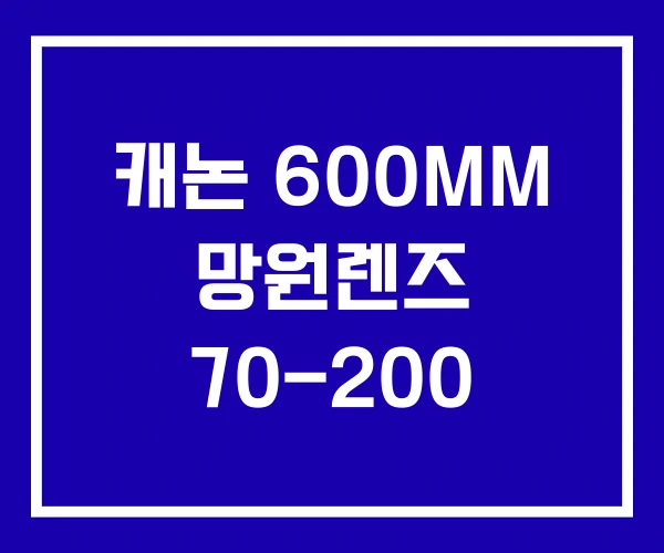 캐논 600MM 망원렌즈 70-200