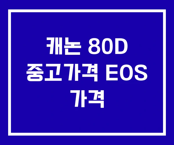 캐논 80D 중고가격 EOS 가격