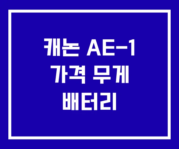 캐논 AE-1 가격 무게 배터리 캐논 AE-1 가격 무게 배터리
