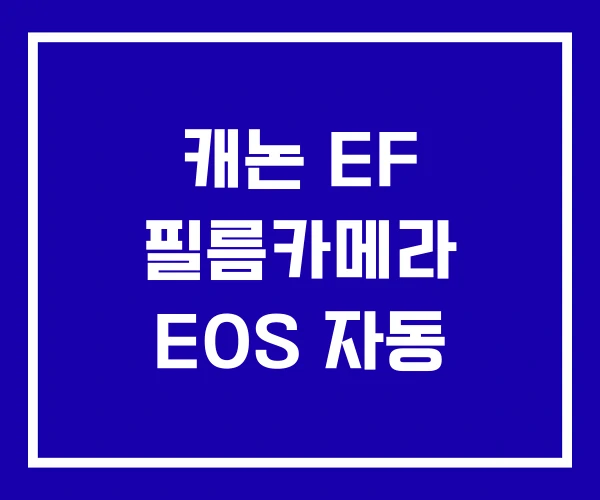 캐논 EF 필름카메라 EOS 자동
