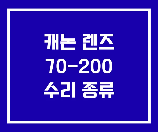 캐논 렌즈 70-200 수리 종류