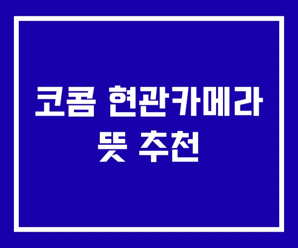 코콤 현관카메라 뜻 추천