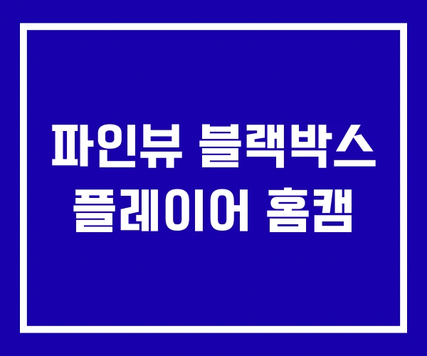 파인뷰 블랙박스 플레이어 홈캠