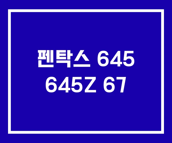 펜탁스 645 645Z 67