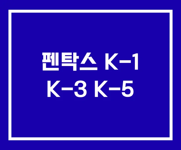 펜탁스 K-1 K-3 K-5