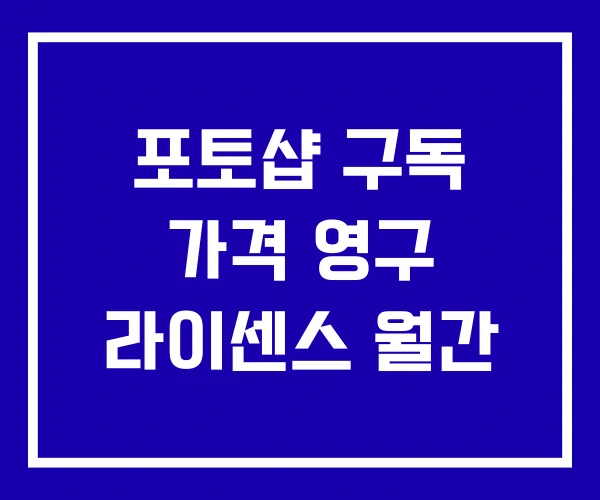 포토샵 구독 가격 영구 라이센스 월간 포토샵 구독 가격 영구 라이센스 월간