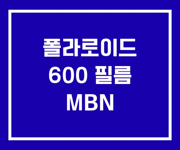 폴라로이드 600 필름 MBN