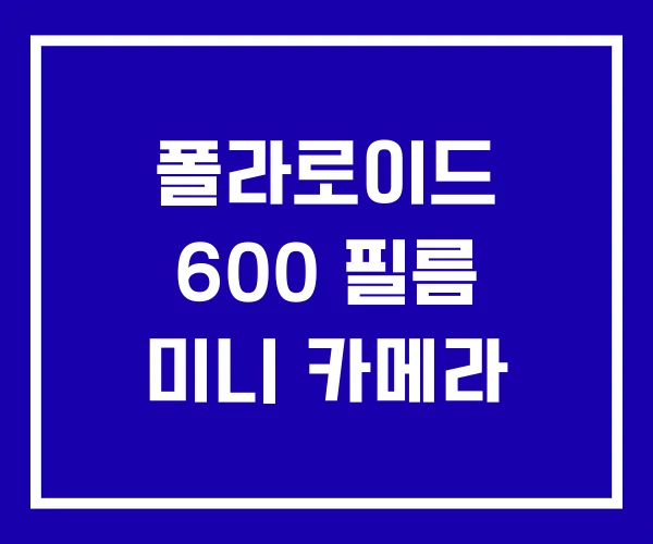 폴라로이드 600 필름 미니 카메라