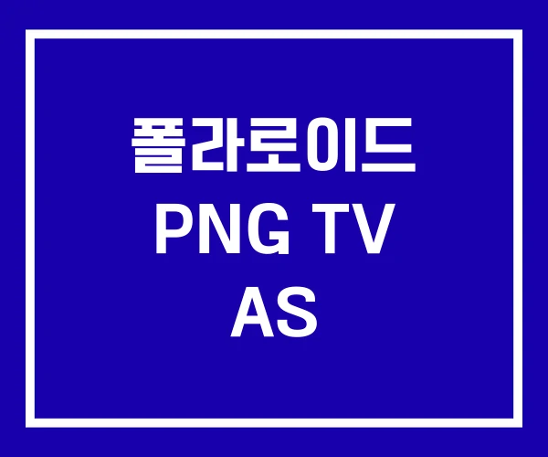 폴라로이드 PNG TV AS