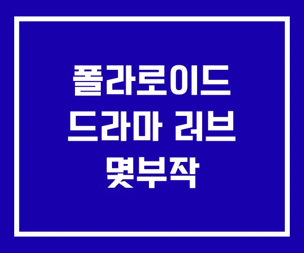 폴라로이드 드라마 러브 몇부작