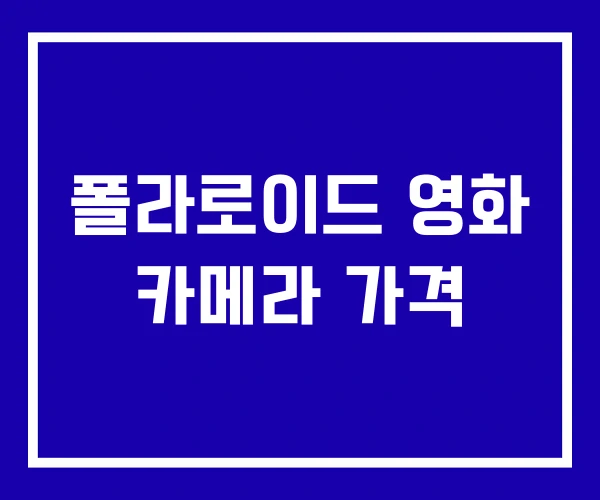폴라로이드 영화 카메라 가격