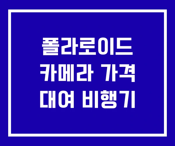 폴라로이드 카메라 가격 대여 비행기