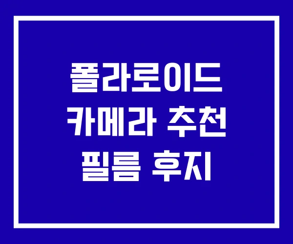 폴라로이드 카메라 추천 필름 후지 폴라로이드 카메라 추천 필름 후지