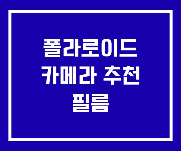 폴라로이드 카메라 추천 필름