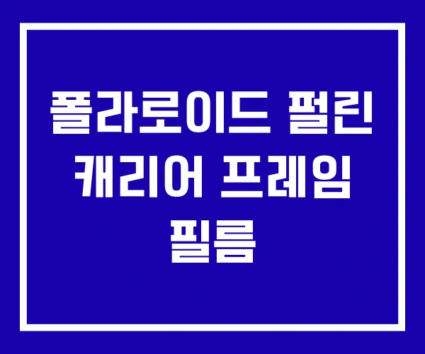 폴라로이드 펄린 캐리어 프레임 필름 폴라로이드 펄린 캐리어 프레임 필름