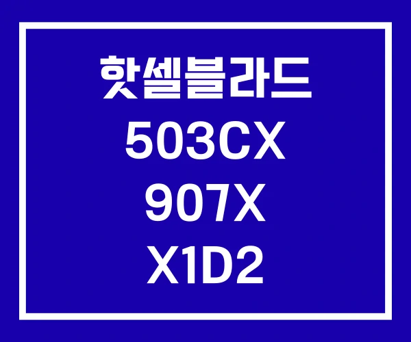 핫셀블라드 503CX 907X X1D2 핫셀블라드 503CX 907X X1D2