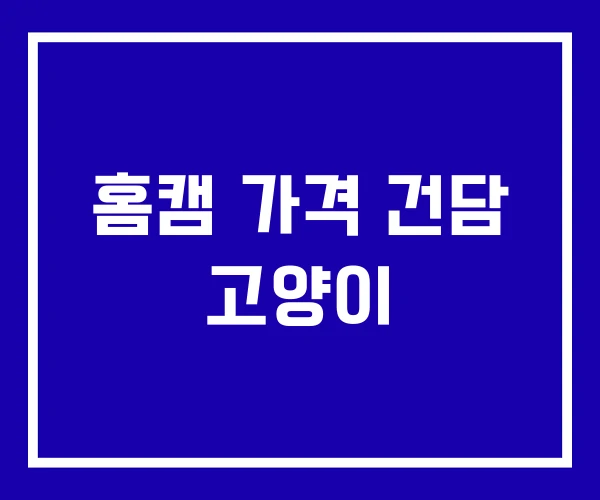 홈캠 가격 건담 고양이