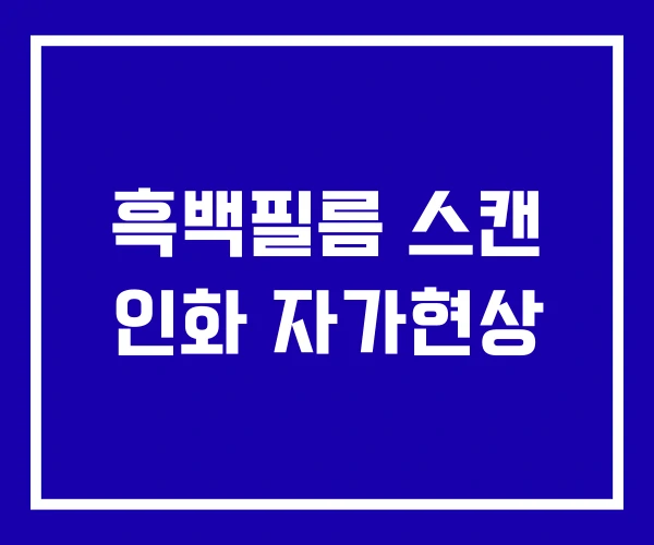 흑백필름 스캔 인화 자가현상