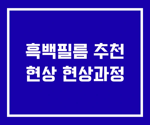 흑백필름 추천 현상 현상과정
