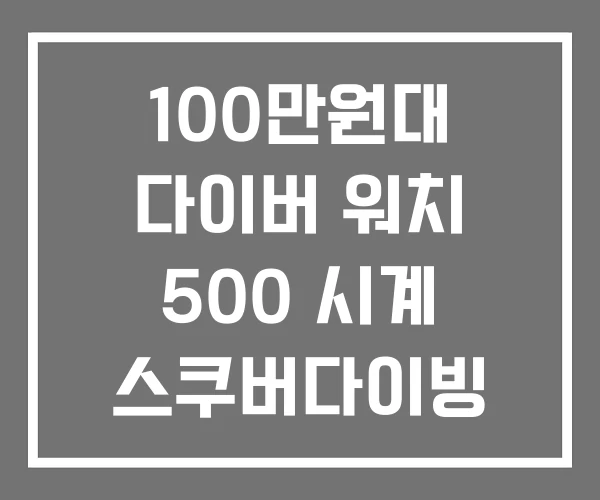 100만원대 다이버 워치 500 시계 스쿠버다이빙