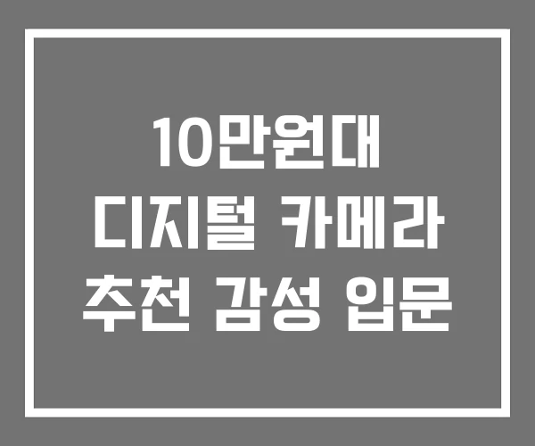 10만원대 디지털 카메라 추천 감성 입문